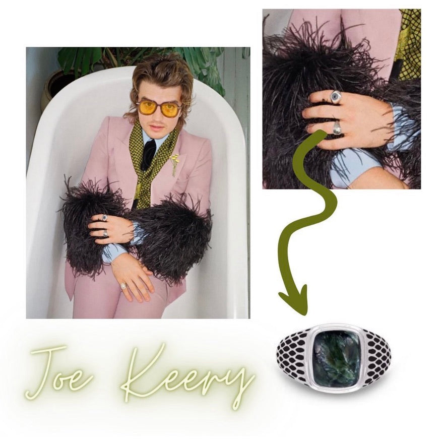 Joe Keery