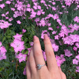 Pac-Man Candy Open Diamond Ring in Sterling Silver