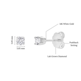 Seraph 1.25 Ct TW Lab Grown Round Diamond Studs 14K White Gold Earrings