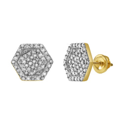 Slates Diamond 0.35 ct. tw.10K Yellow Gold Earrings