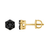 Eclipse 0.5 Cts Black Diamond Cluster Studs 10K Yellow Gold Earrings