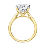 Aelo 14K Yellow Gold Radiant Cut Lab Grown Diamond Hidden Halo Engagement Ring - 5.1 Ct