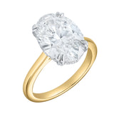 Evania 14K Yellow Gold Oval Cathedral Lab Grown Diamond Hidden Halo Engagement Ring - 5.15 cts