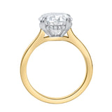 Evania 14K Yellow Gold Oval Cathedral Lab Grown Diamond Hidden Halo Engagement Ring - 5.15 cts