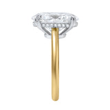 Evania 14K Yellow Gold Oval Cathedral Lab Grown Diamond Hidden Halo Engagement Ring - 5.15 cts