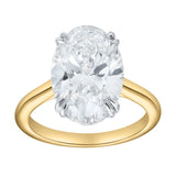 Evania 14K Yellow Gold Oval Cathedral Lab Grown Diamond Hidden Halo Engagement Ring - 5.15 cts