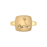 Pisces Two Fish Aquamarine & Diamond Constellation Signet Ring in 14K  Yellow Gold