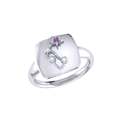 Aquarius Water-Bearer Amethyst & Diamond Constellation Signet Ring in 14K White Gold