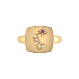 Aquarius Water-Bearer Amethyst & Diamond Constellation Signet Ring in 14K Yellow Gold on Sterling Silver