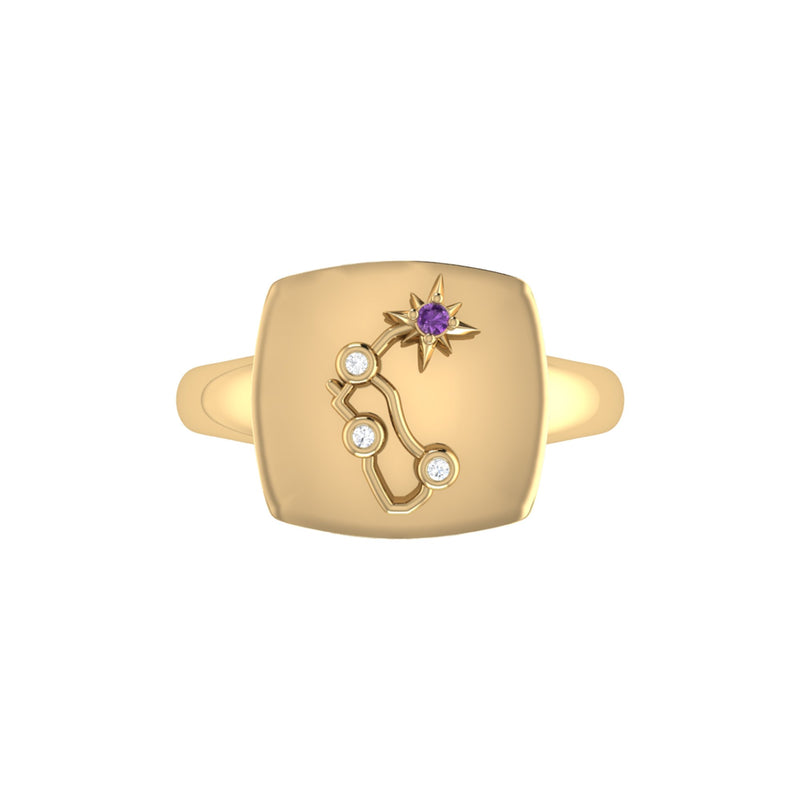 Aquarius Water-Bearer Amethyst & Diamond Constellation Signet Ring in 14K Yellow Gold