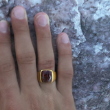 Red Lace Agate Iconic Stone Signet Ring in 14K Yellow Gold Plated Sterling Silver