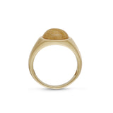 Wood Jasper Iconic Stone Signet Ring in 14K Yellow Gold Plated Sterling Silver